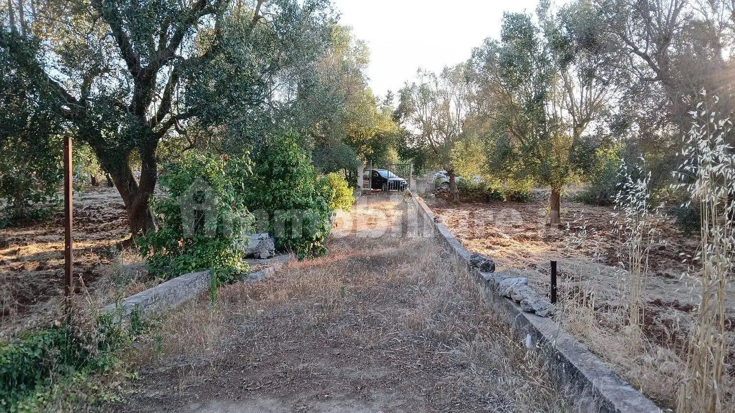 Cascina Contrada Sardella No Number, Ceglie Messapica - foto 3