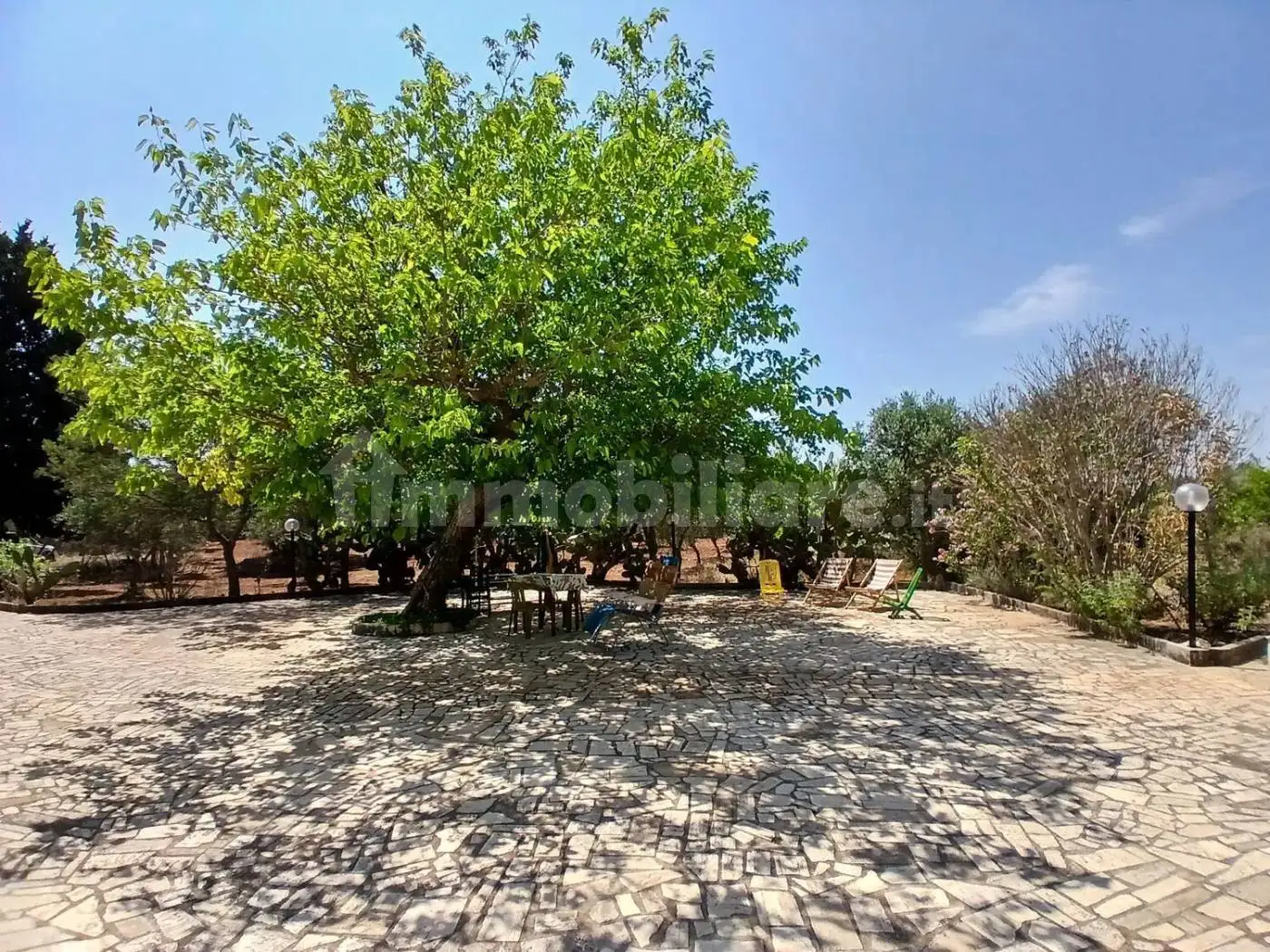 Rustico Contrada Coccia Coccia No Number, Ceglie Messapica - foto 3