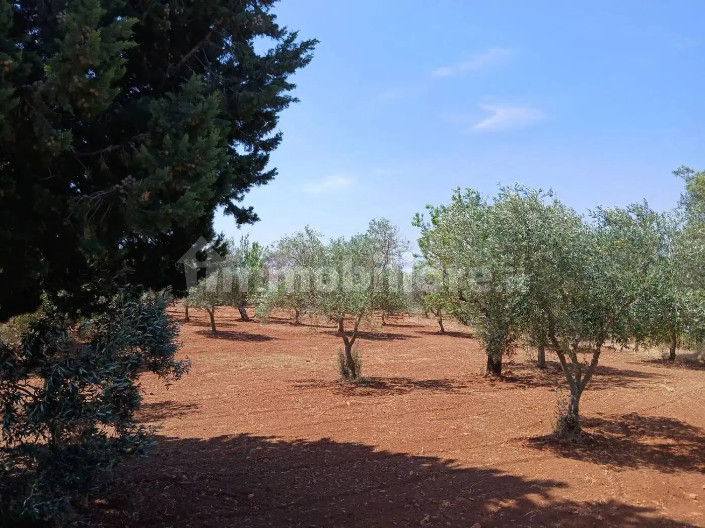 Rustico Contrada Coccia Coccia No Number, Ceglie Messapica - foto 5