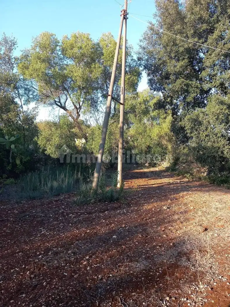 Villa unifamiliare via Don Oronzo Elia No Number, Ceglie Messapica - foto 5