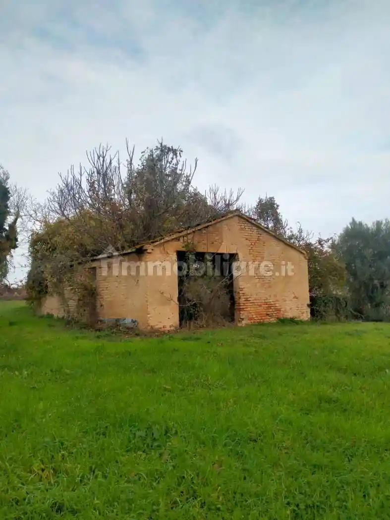 Casa colonica Contrada Case Nuove SNC, Castelleone di Suasa - foto 4