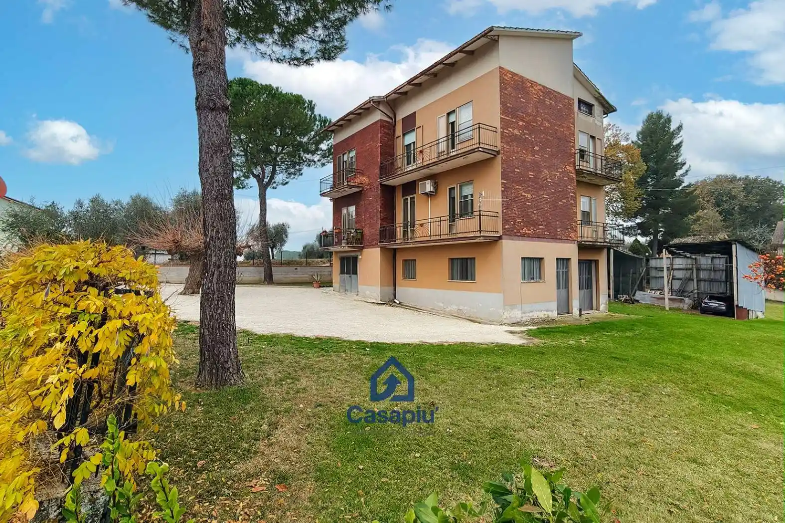 Palazzo - Edificio - foto 3