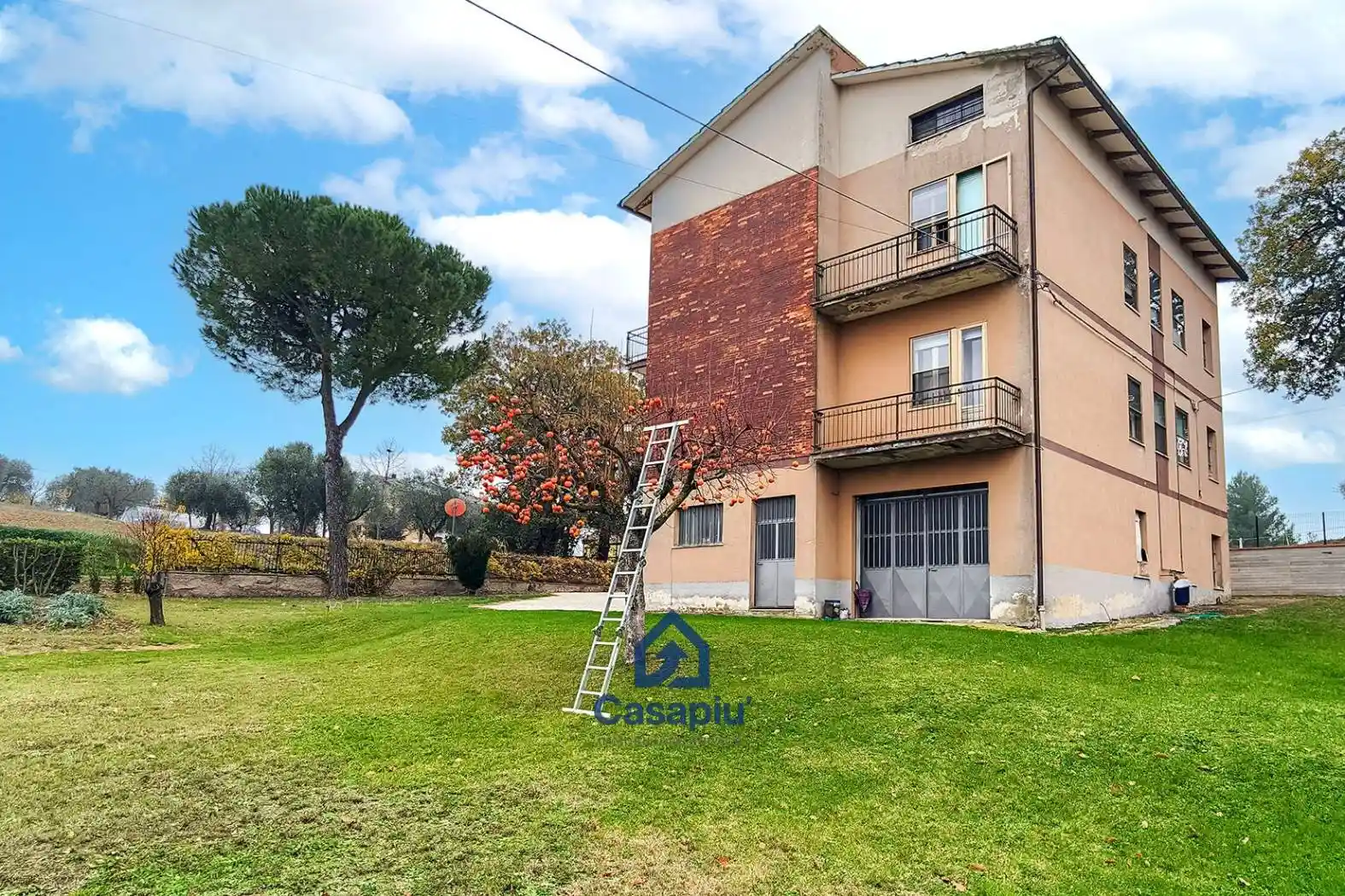 Palazzo - Edificio - foto 4