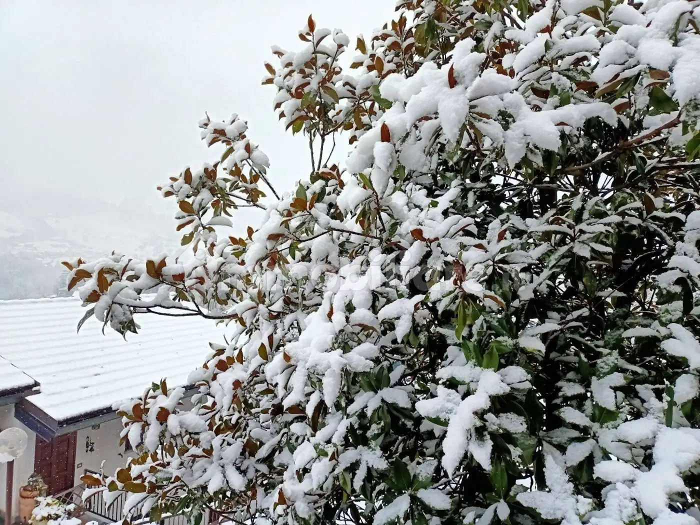 Trilocale via Alessandro Volta 41, San Fedele Intelvi, Centro Valle Intelvi - foto 5