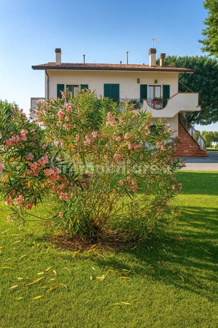 Rustico - Casale in vendita a Jesi