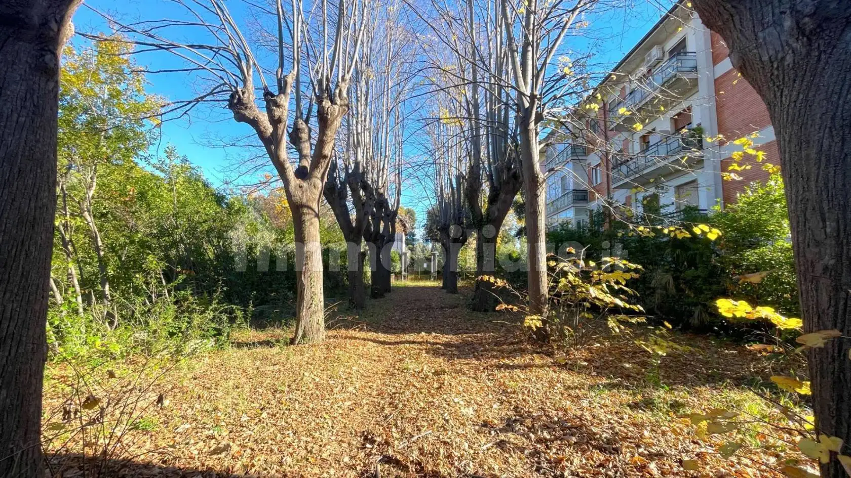 Palazzo - Edificio in Vendita - foto 3