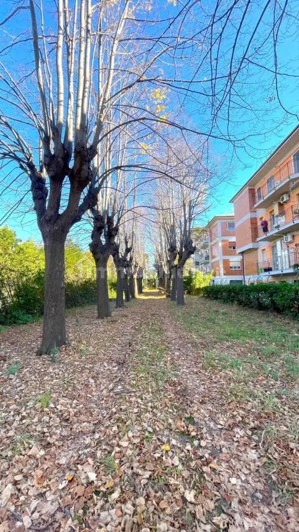 Palazzo - Edificio in Vendita - foto 4