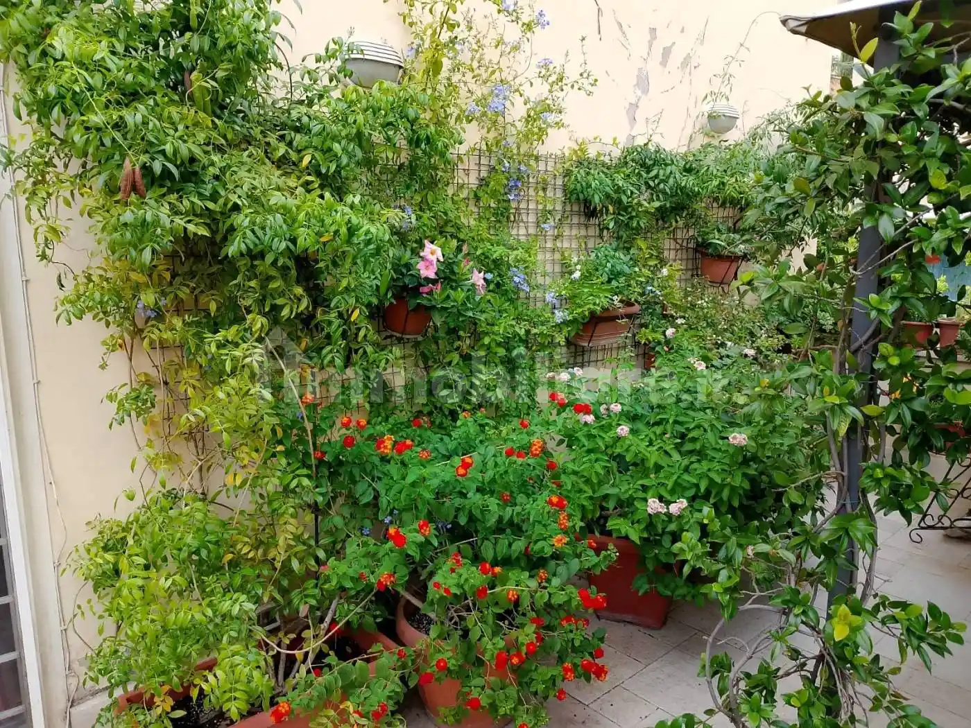 Bilocale via Corsaglia 13, Città Giardino, Roma - foto 2