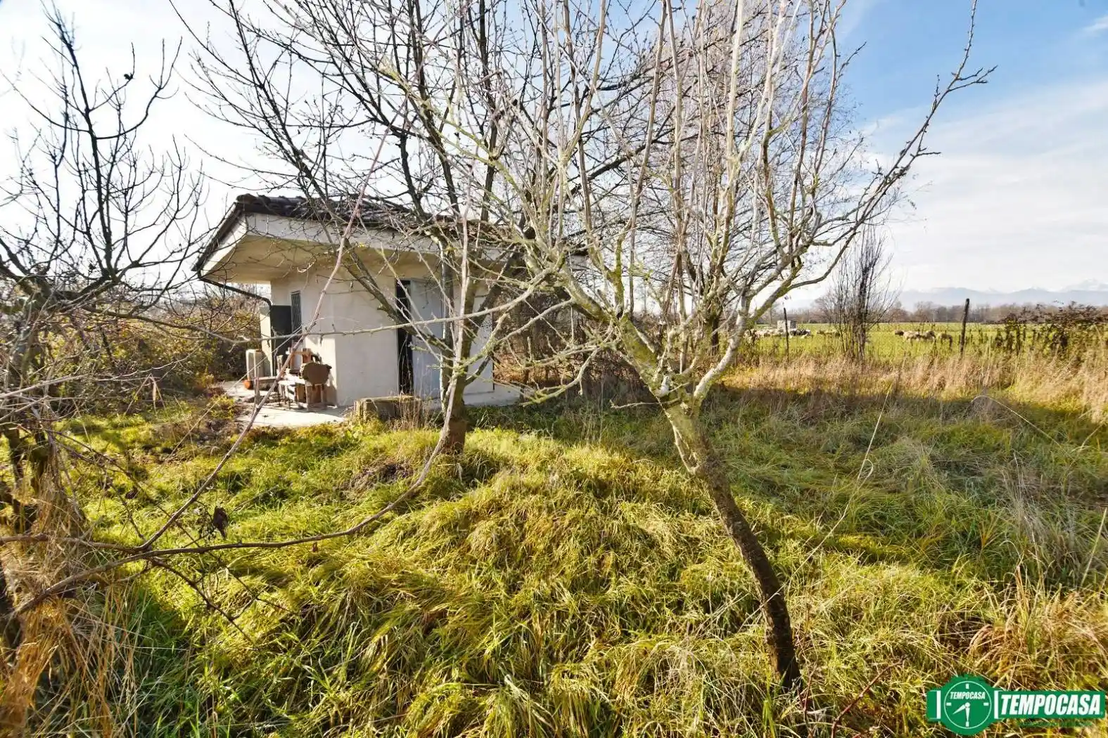 Casa indipendente - foto 3