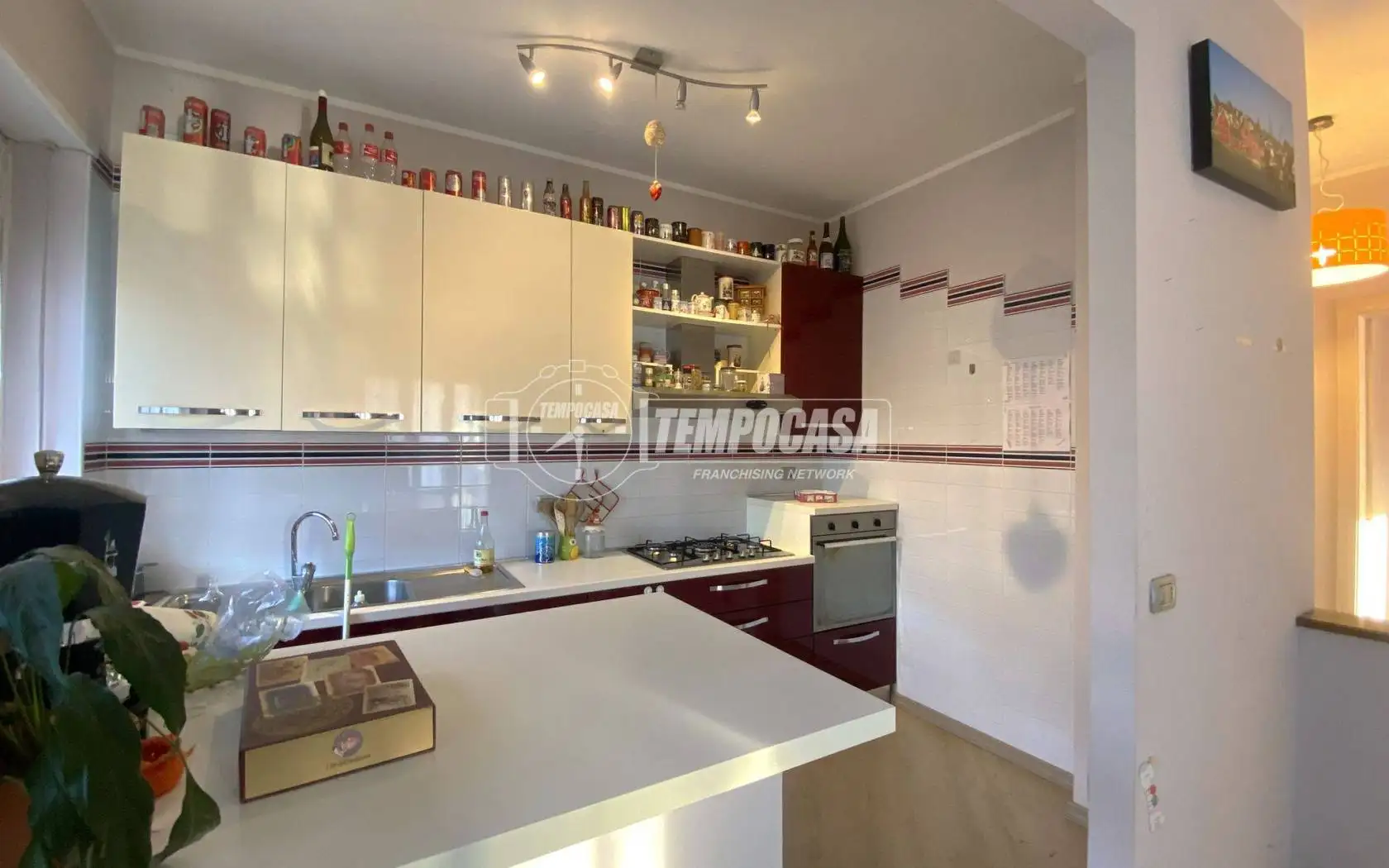 Trilocale via Giorgio Marincola, Chiavazza, Biella - foto 4