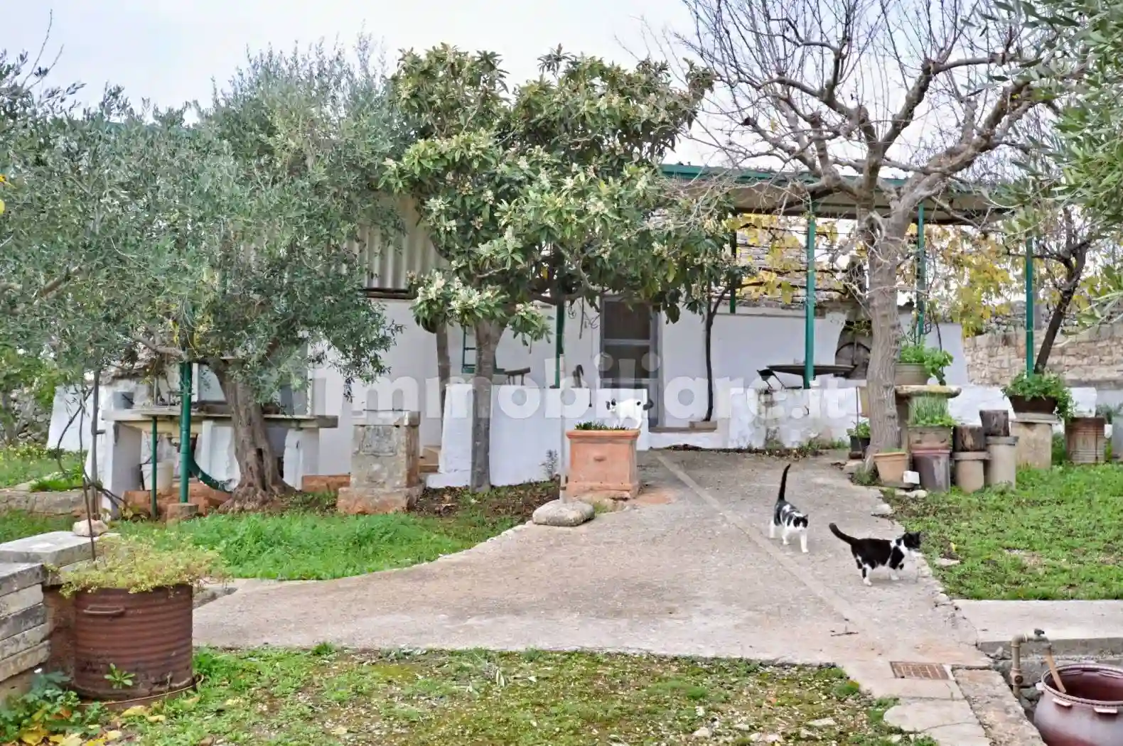 Rustico - Casale - foto 3