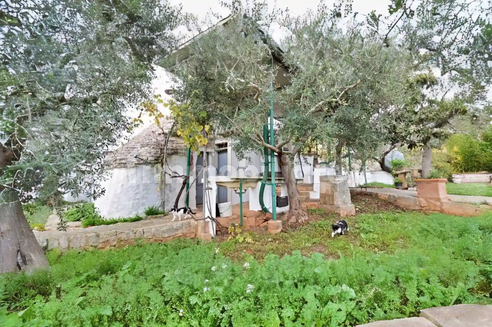 Rustico - Casale - foto 5