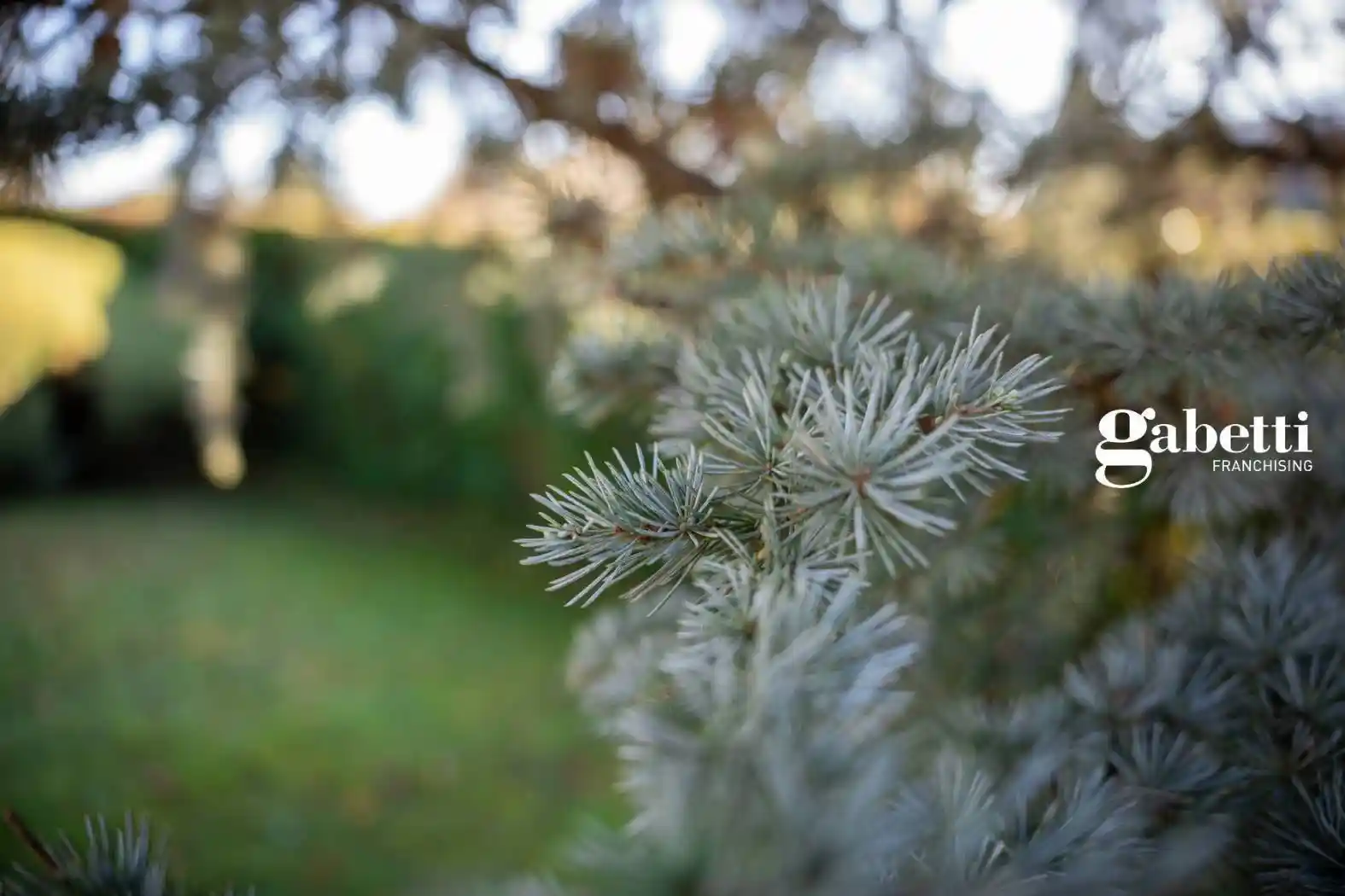 Trilocale via San Francesco D'Assisi 36, Quattro Strade, Montevecchia - foto 4