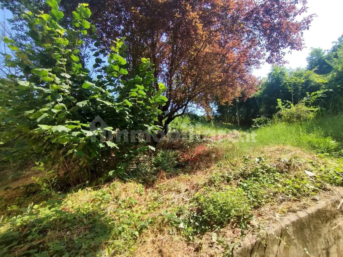 Terratetto unifamiliare via Sapiana, Castelvetro di Modena - foto 2