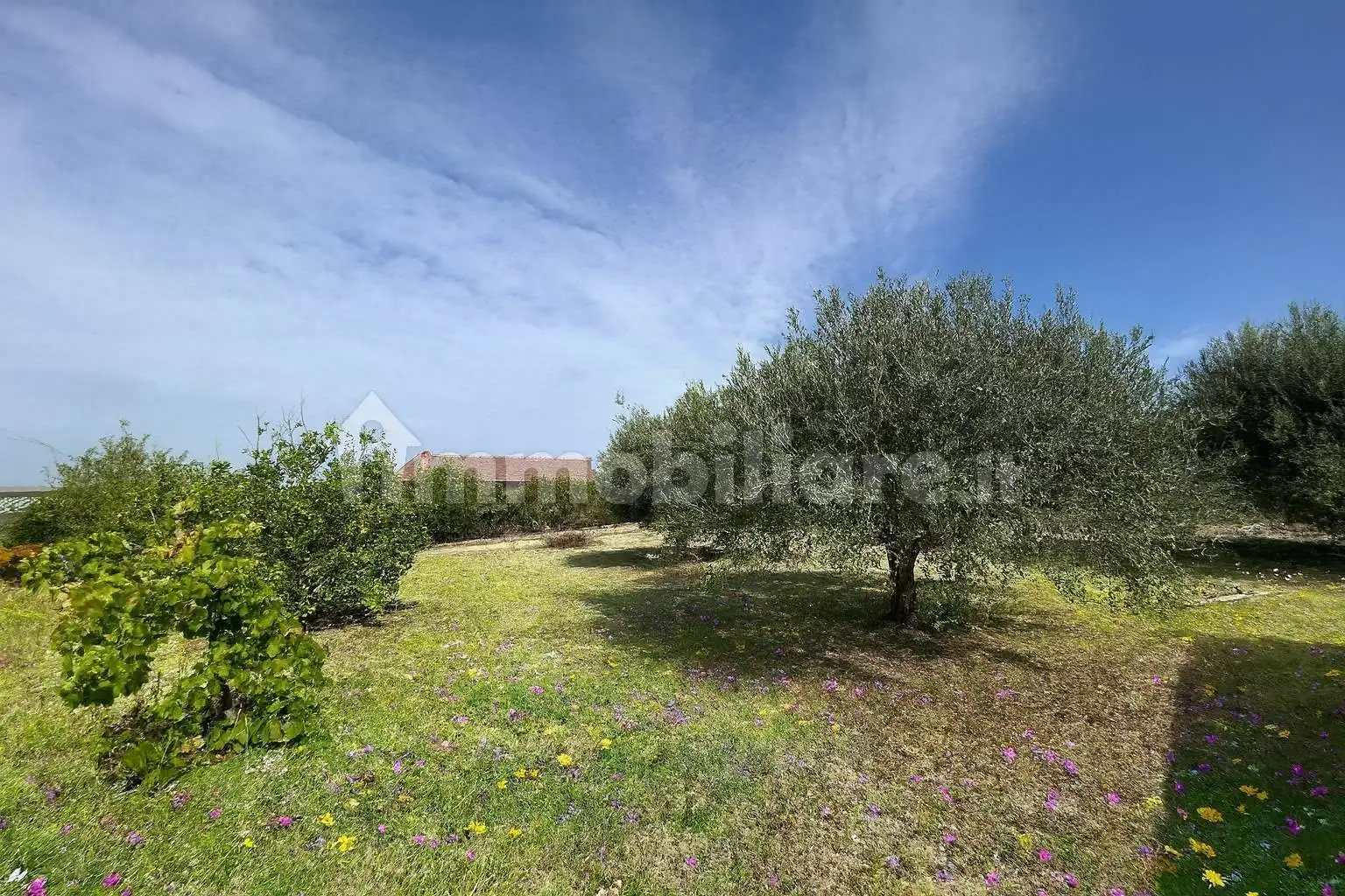 Villa unifamiliare Contrada Bifaria, Caltanissetta - foto 2