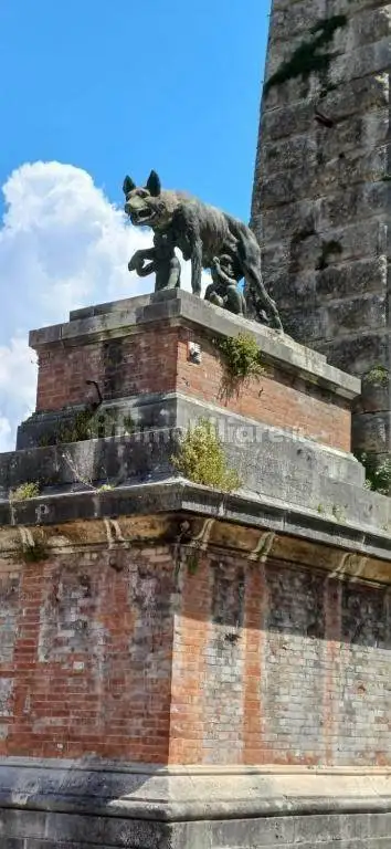 Appartamento via Duccio di Boninsegna, Ravacciano, Siena - foto 4