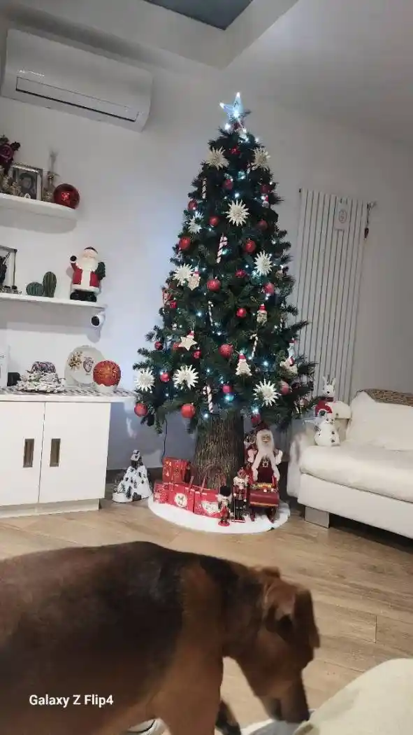 Trilocale Circonvallazione Di Acquaviva Delle Fonti, Acquaviva delle Fonti - foto 3