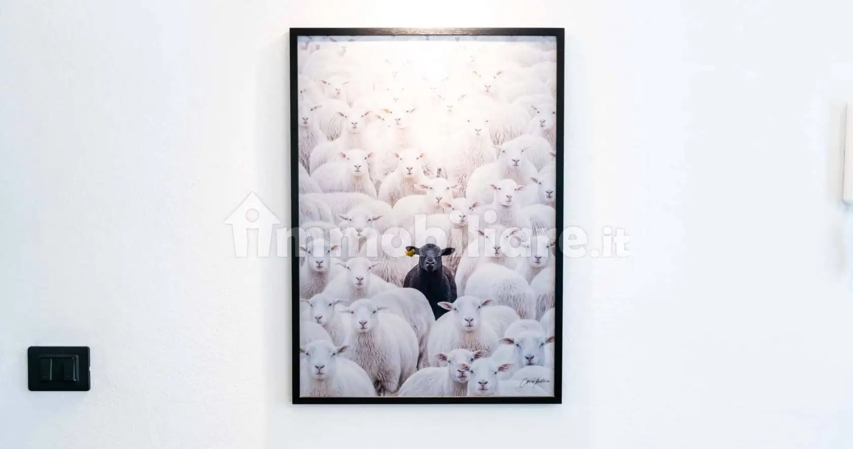 Appartamento in affitto a Torino