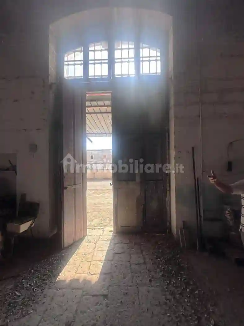 Palazzo - Edificio - foto 5