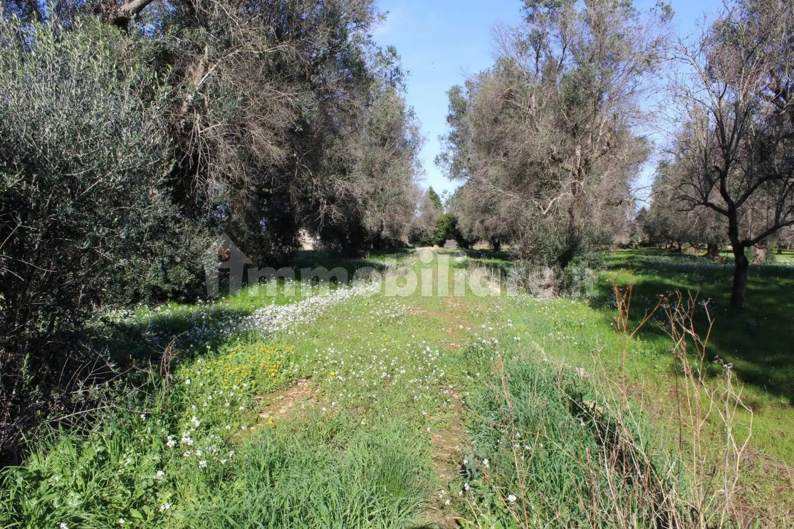 Rustico - Casale in vendita a Francavilla Fontana