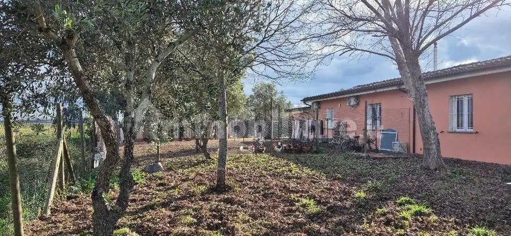 Villa a schiera 3 locali, buono stato, Ospedaletto, Pisa - foto 2