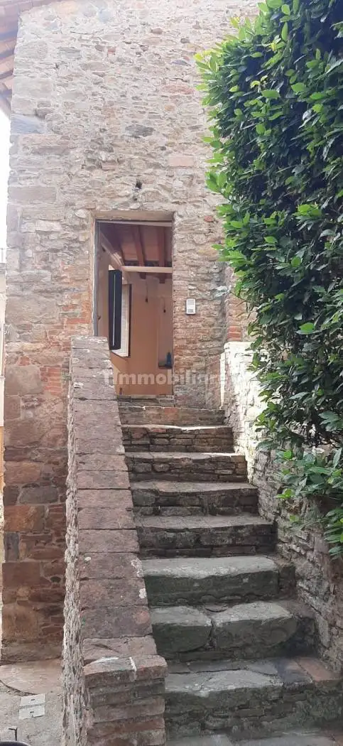 Rustico - Casale in affitto a Vicopisano