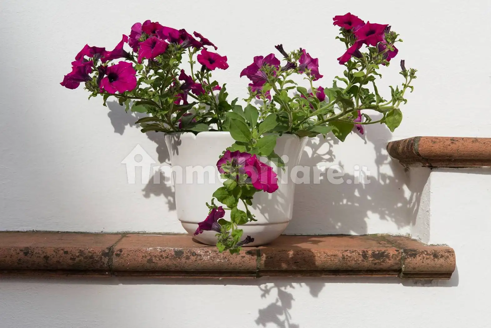 Appartamento in vendita a Viareggio