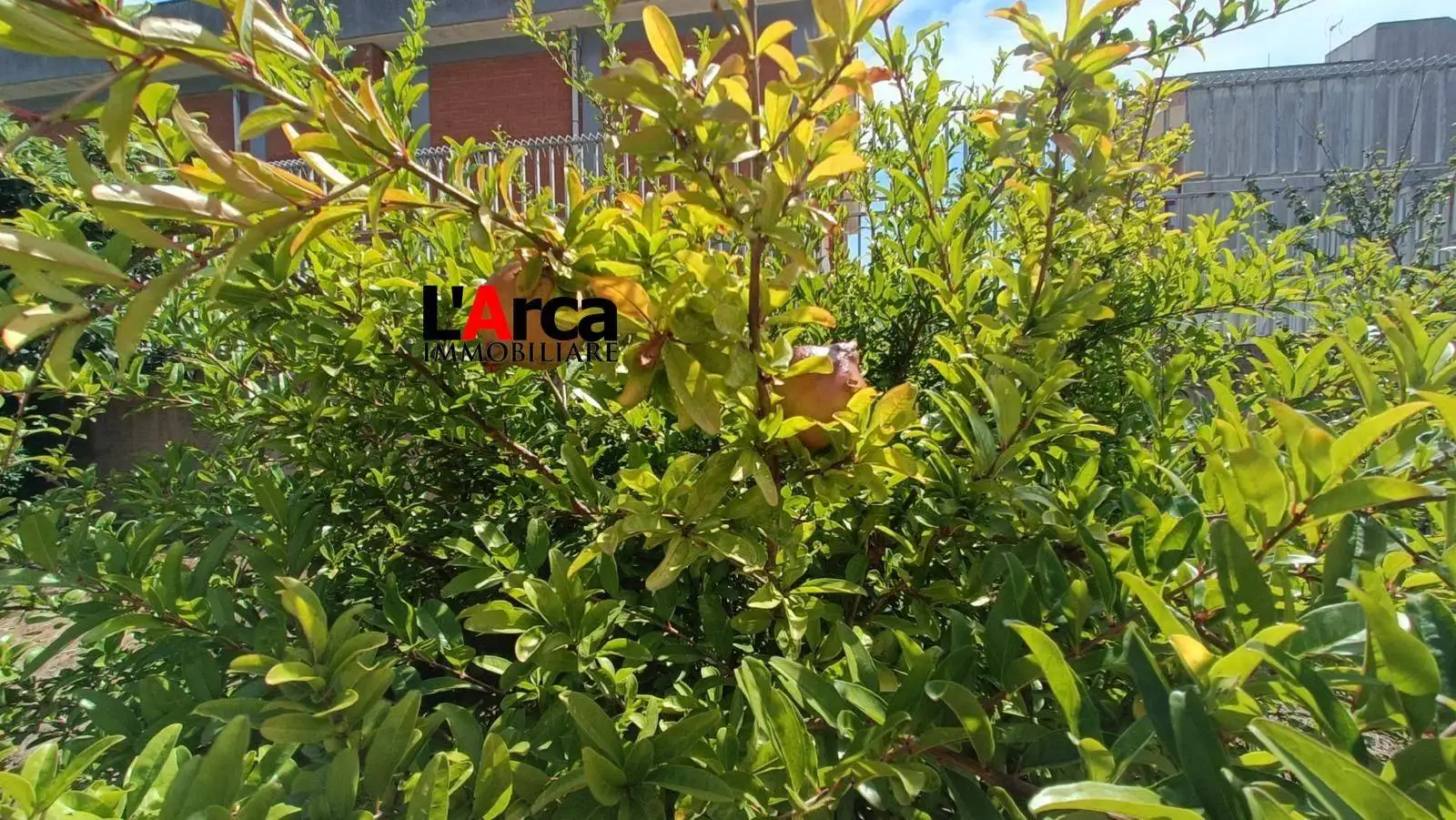 Villa unifamiliare via Padova, Leuca, Castrignano del Capo - foto 5