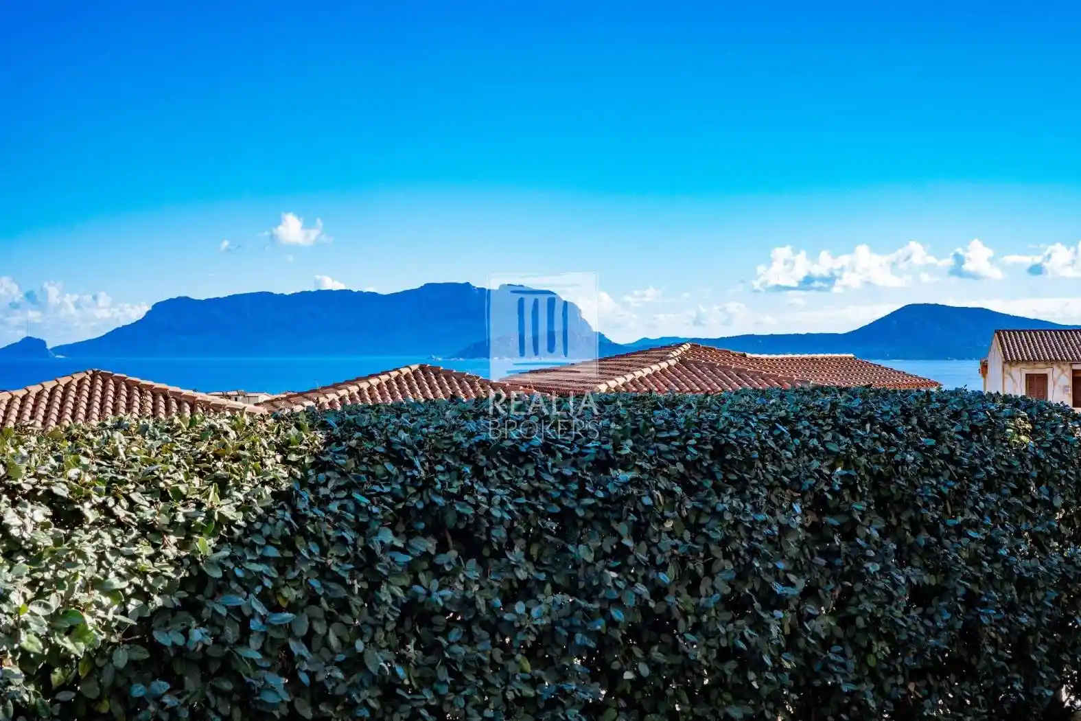 Trilocale via degli Anemoni 46, Pittulongu, Olbia - foto 2