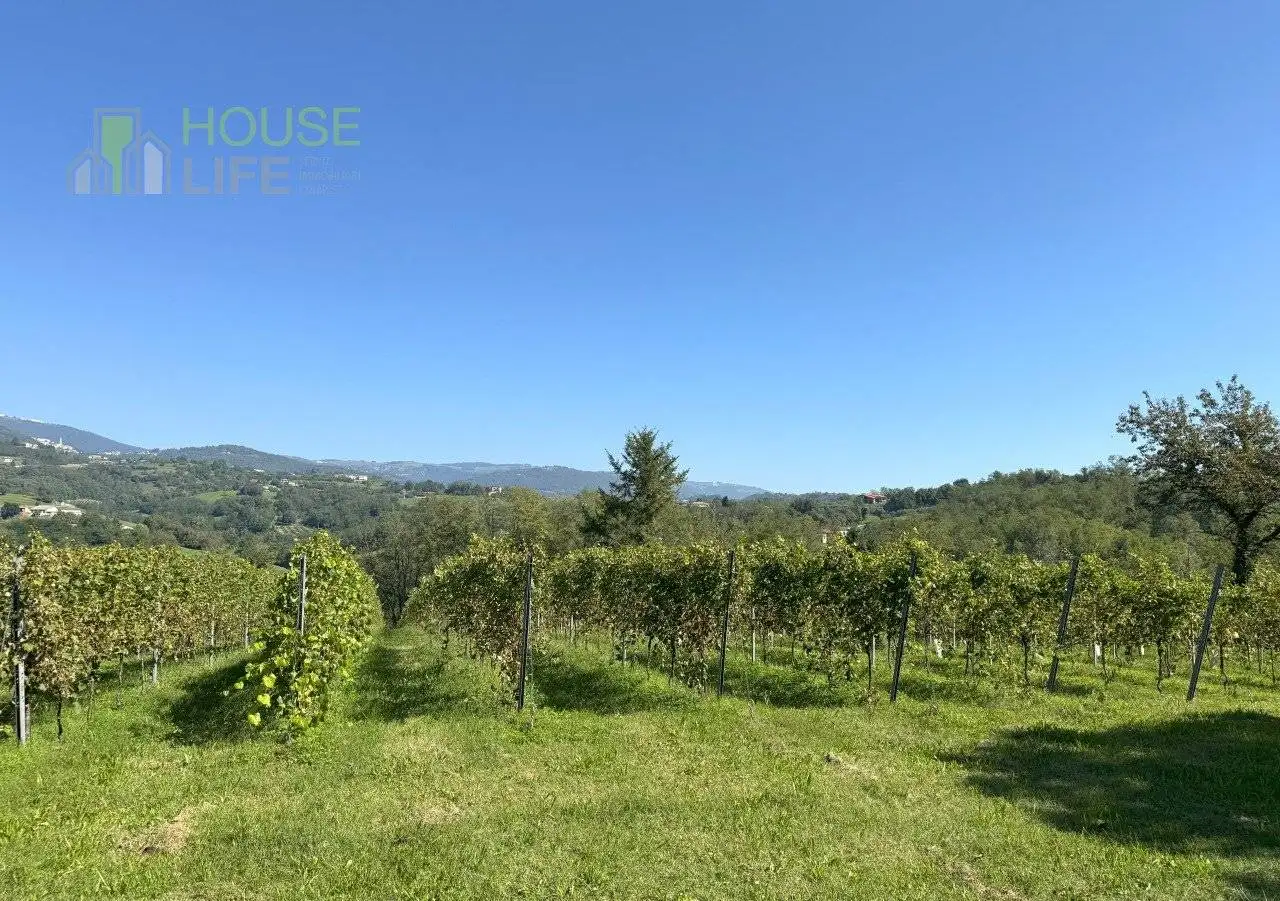 Rustico - Casale in vendita a Fara Vicentino