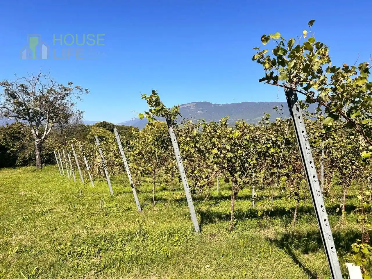 Casale via Farneda, Bivio Costa, Fara Vicentino - foto 4