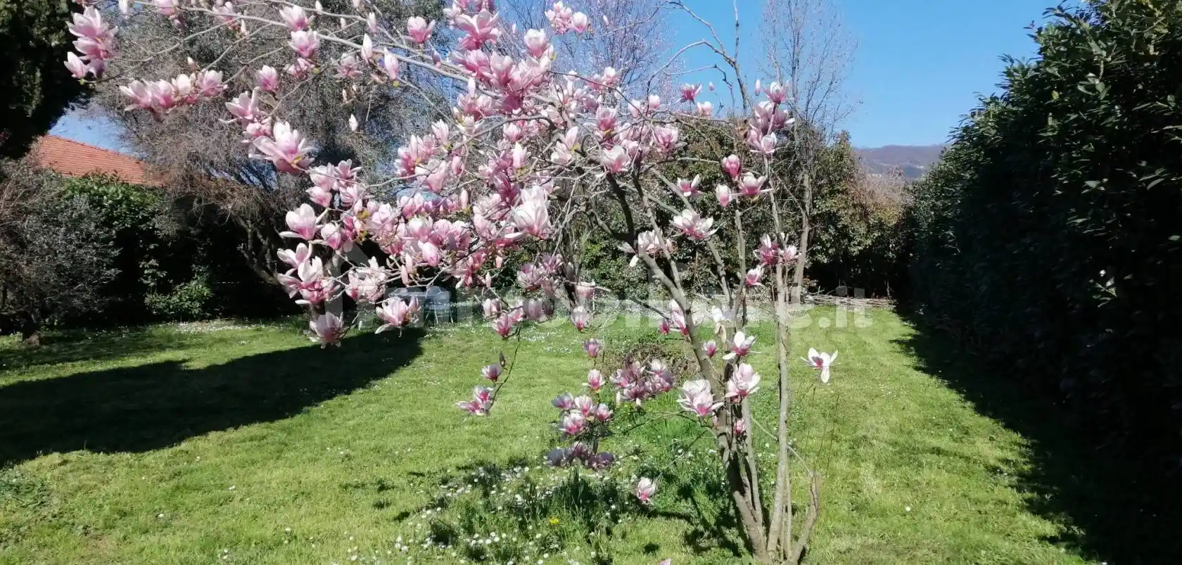 Villa unifamiliare via Aurelia 134, Colombiera Molicciara, Castelnuovo Magra - foto 2