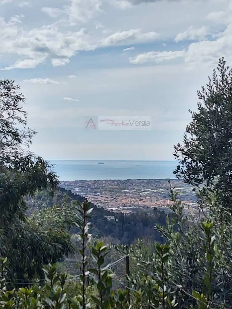 Casa indipendente in vendita a Pietrasanta