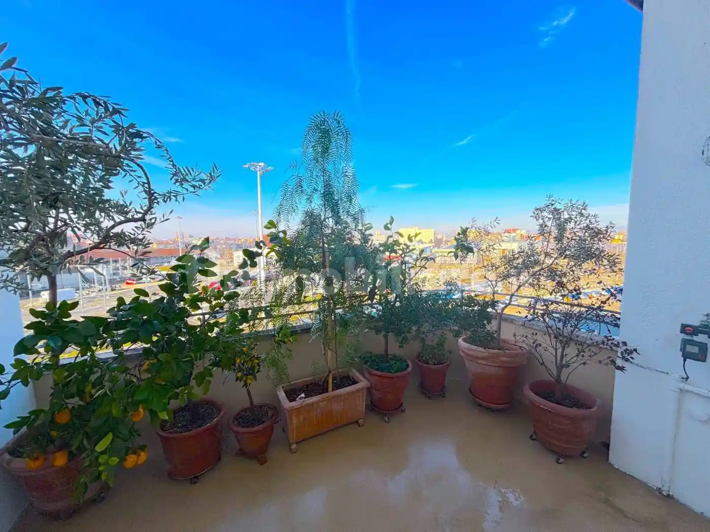 Attico via Prospero Finzi 38, Turro, Milano - foto 3