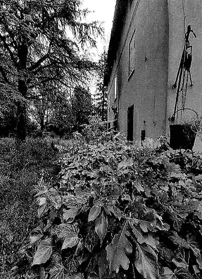 Villa all'asta via Provinciale Est, Carpi - foto 4