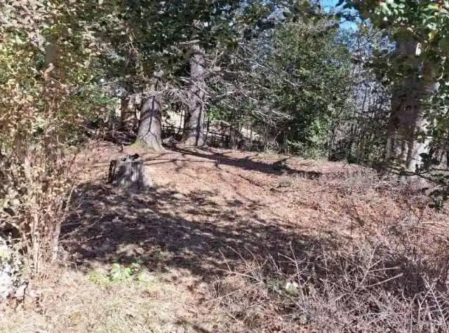 Villa all'asta Localita' Ponte, Plesio - foto 4