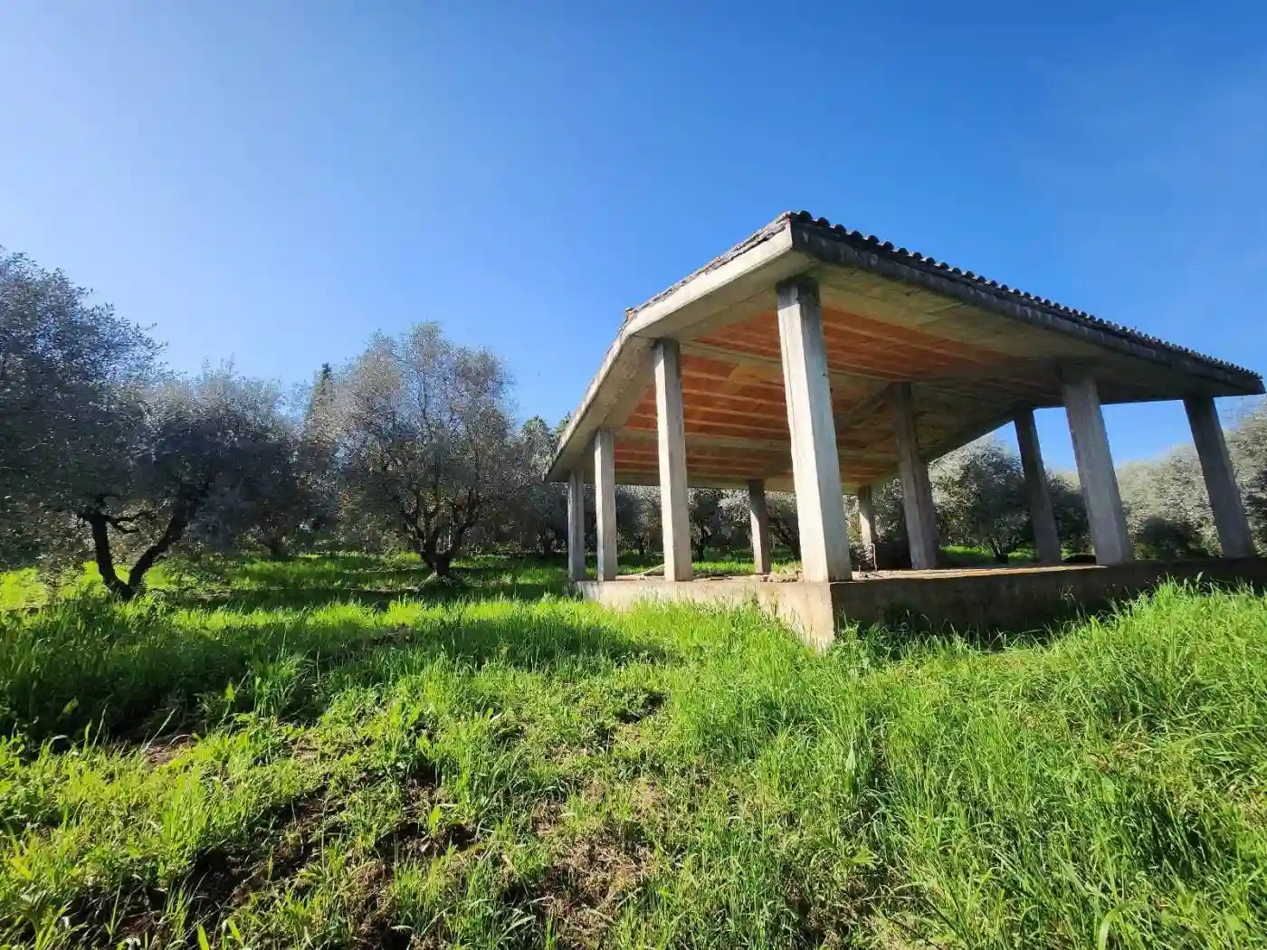 Rustico - Casale - foto 3