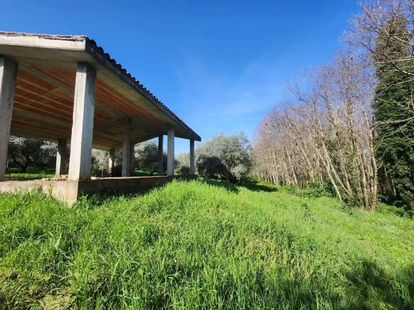 Rustico - Casale - foto 4