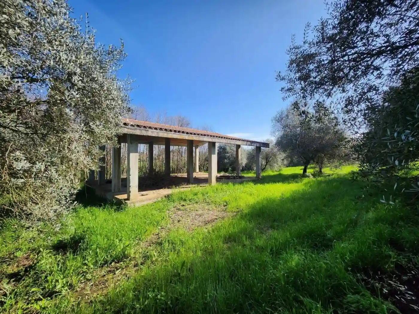 Rustico - Casale - foto 5