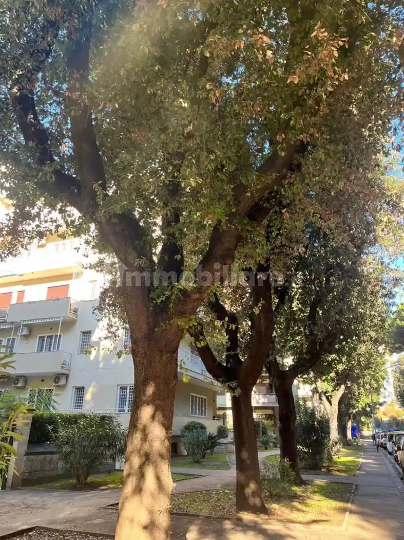 Trilocale viale Louis Pasteur 46, Eur, Roma - foto 4