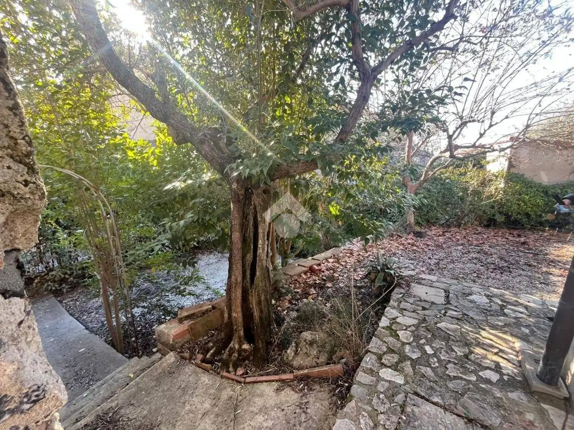 Rustico via Salisciano 2, Fornole, Amelia - foto 4