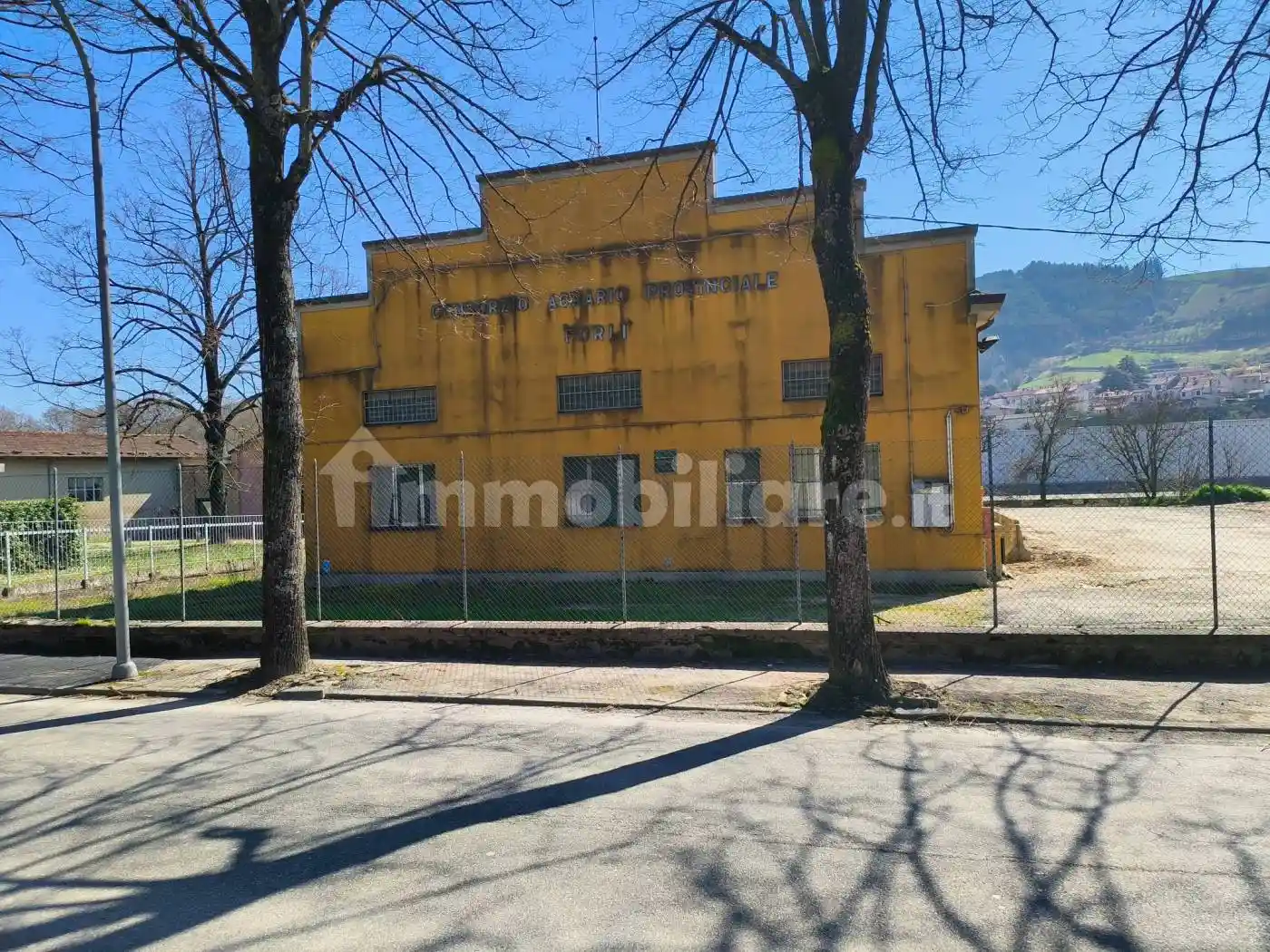 Palazzo - Edificio - foto 2