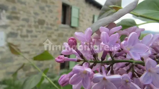 Rustico - Casale in vendita a Villa Minozzo