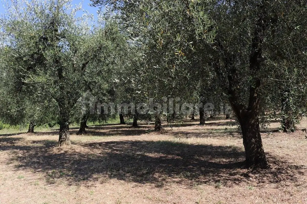 Casale via Rimembranze 8, Centro, Amelia - foto 3