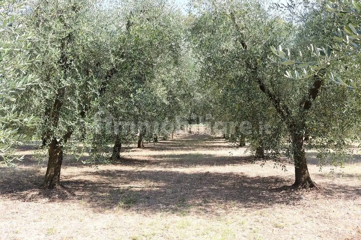 Casale via Rimembranze 8, Centro, Amelia - foto 5