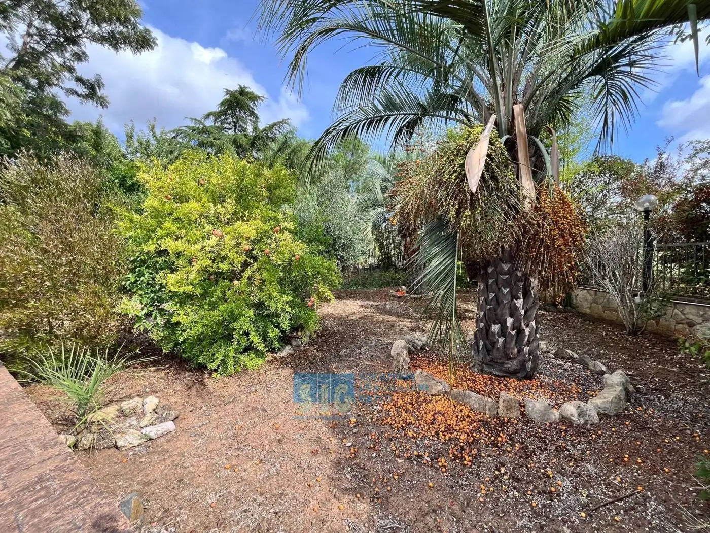 Villa in vendita a Latina