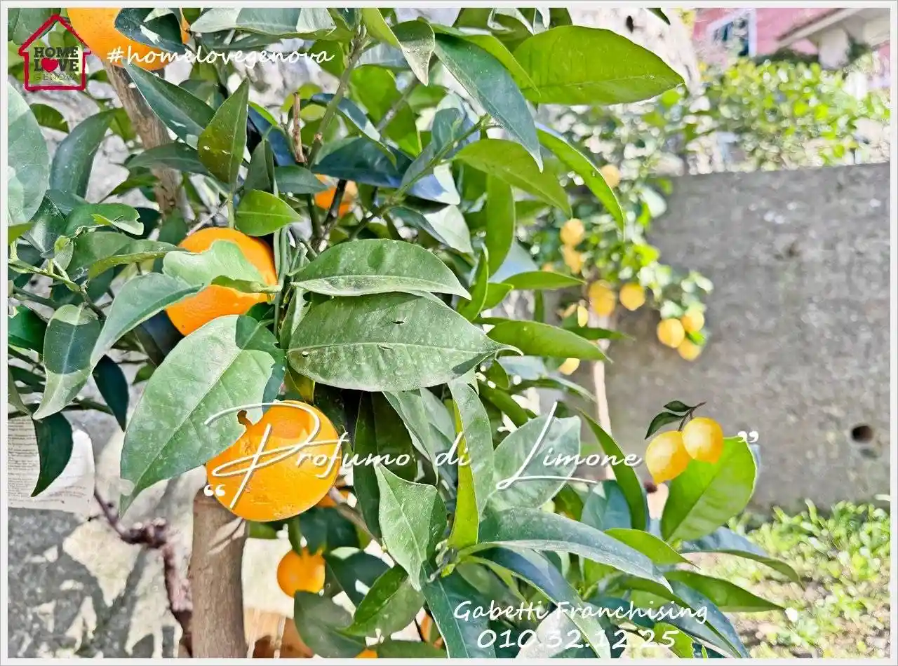 Villa bifamiliare via Mario Mazza, Apparizione, Genova - foto 3