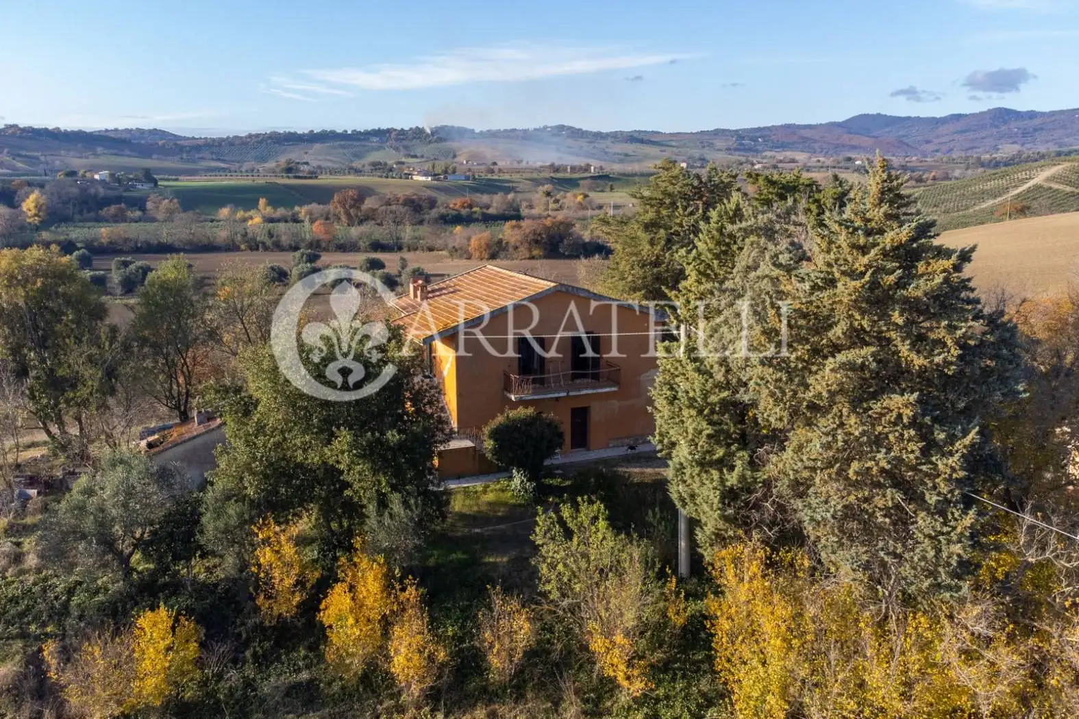 Rustico - Casale in vendita a Scansano