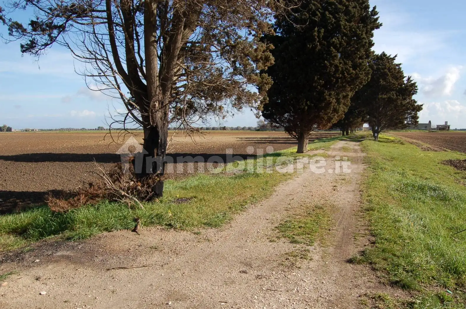 Masseria 701 m², Tuturano - Cerano, Brindisi - foto 3