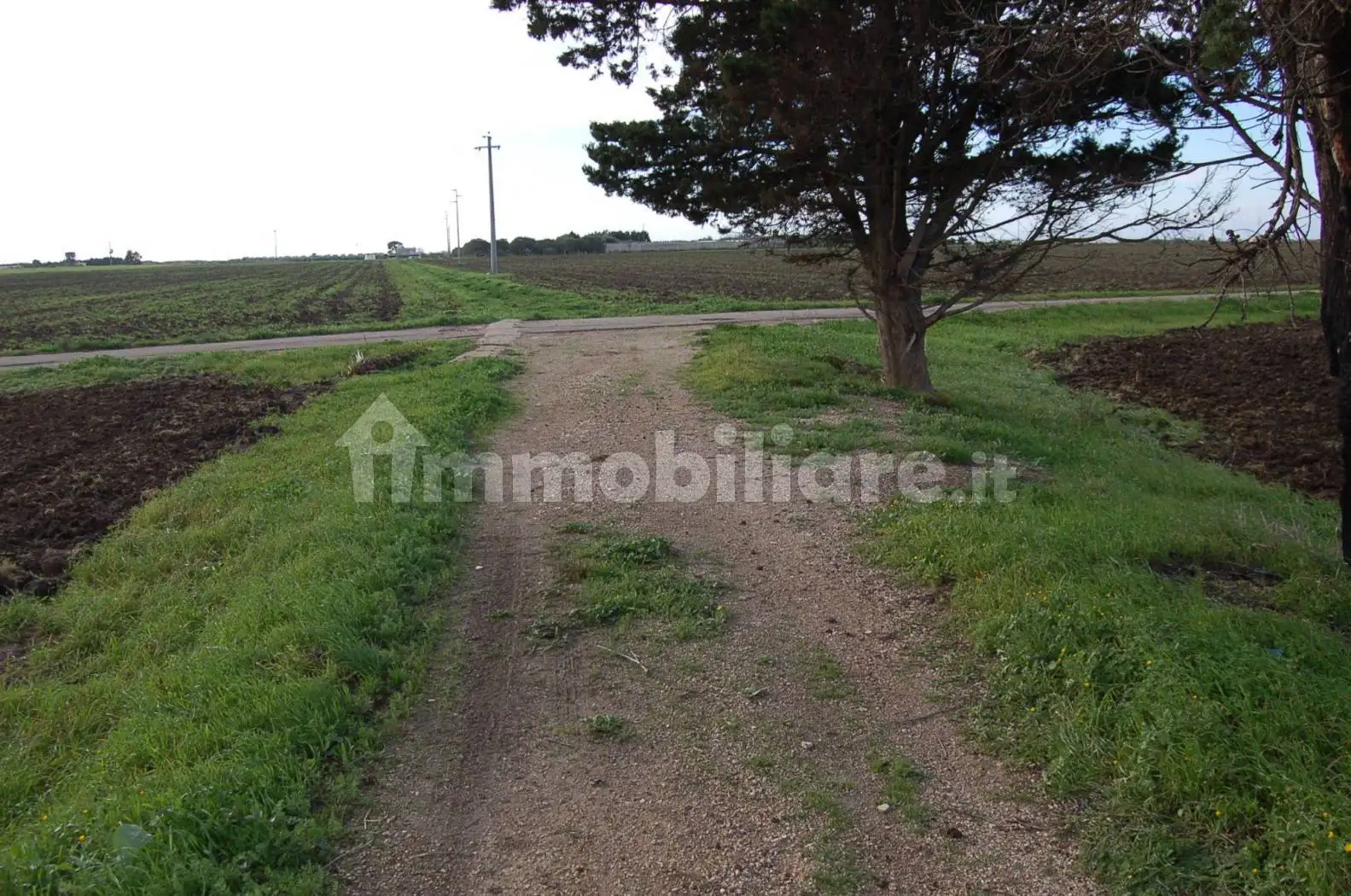 Masseria 701 m², Tuturano - Cerano, Brindisi - foto 4